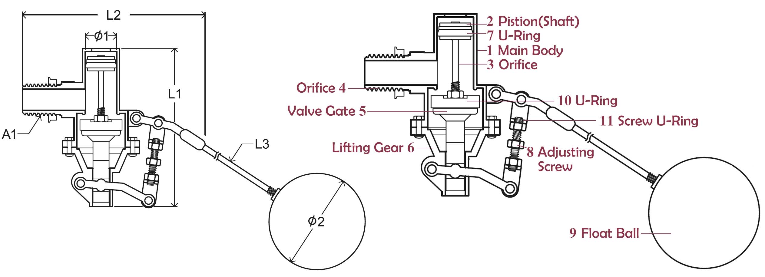 Drawing of Z-Tide Float Ball Valve Switch
